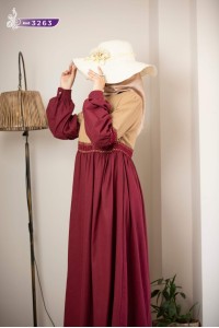 3263  İki Renk Elbise - Vizon & Bordo